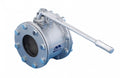 6 inch Molex valve