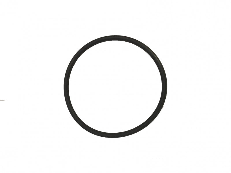 O Ring Only for syphon valve