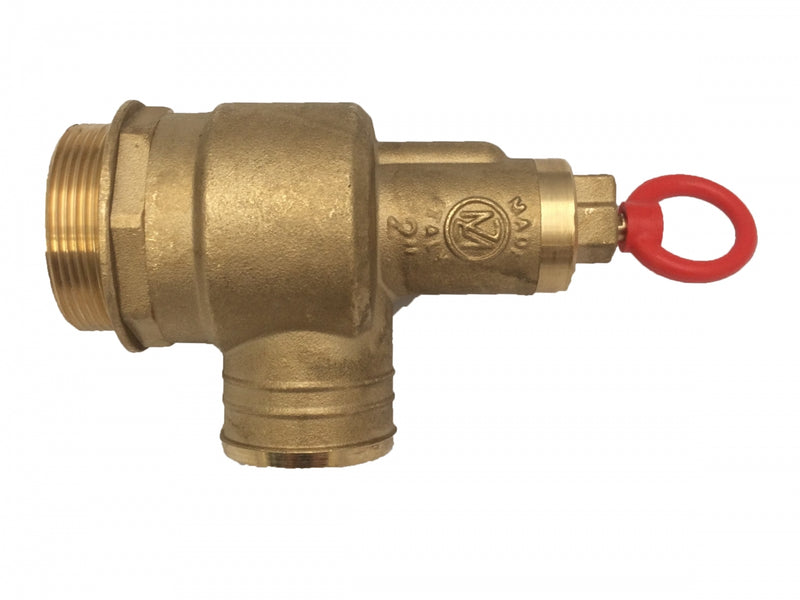 Safety Valve (2 inch)