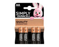 Duracell AA Batteries
